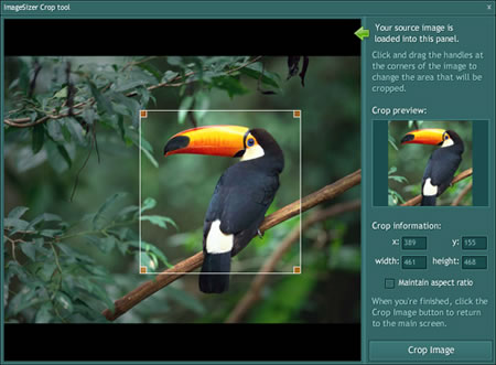 Screenshot of ImageSizer crop tool