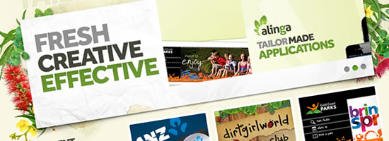 Screenshot of the Alinga website
